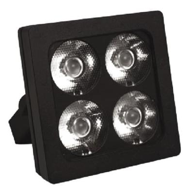 NA Company Mozart #C (RGBW)